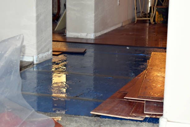 Professional Water Extraction technician working in Manton, MI